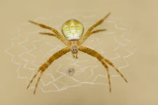 DSC_5569.jpg