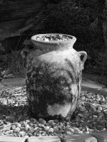 Fountain.jpg