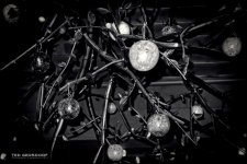 Balls in Black & White_295.JPG