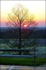Mapleside Sunset 4-11-14 c_301.JPG
