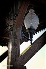 Lamplight_296.JPG