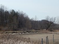 DSCN1581.jpg