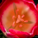 Day102-2.jpg