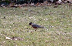 DSC_2611.jpg