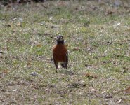 DSC_2612.jpg