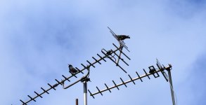 DSC_0009.jpg