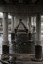 Day103-4.jpg