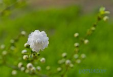 Seoul 2014 202.jpg