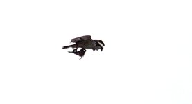 13th Apr 2014 071_01.JPG