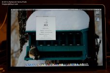 102 New Toy-140412_01.jpg