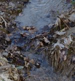 103 Ditch-140412_01.jpg