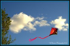 Flying Kite.jpg