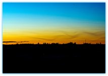 600_7533.jpg