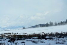 DSC_4959.JPG