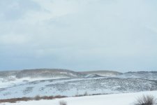 DSC_4964.JPG