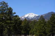 DSC_4886.JPG