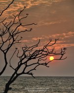 shadow-sun-1.jpg