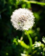 Day104-1.jpg