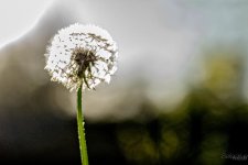 Day104-2.jpg