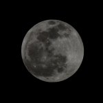 Moon.jpg