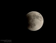 DSC_3416.jpg