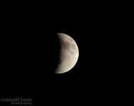 DSC_3431.jpg
