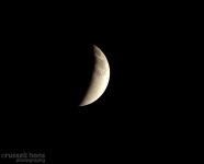DSC_3437.jpg