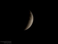 DSC_3448.jpg