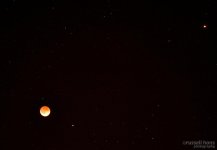 DSC_3530.jpg