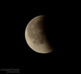 DSC_3549.JPG