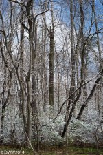 2 seasons 5 (1 of 1).jpg