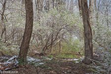 2 seasons 2 (1 of 1).jpg