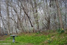 2 seasons 4 (1 of 1).jpg