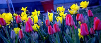 DSC_1455.jpg