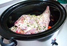 Start of lamb.jpg