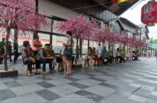 shopping-arcade-1.jpg