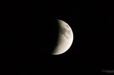 Day105-2.jpg