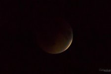Day105-3.jpg
