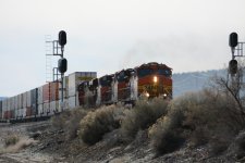 DSC_4823.JPG