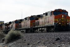 DSC_4827.JPG