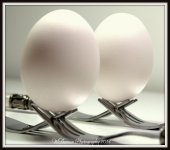 Two Eggs.jpg