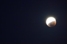 DSC_2380.jpg