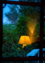 Eerie garden light.jpg
