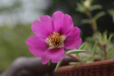_DSC3503.jpg