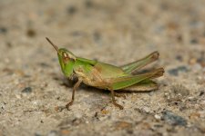 DSC_5832.jpg