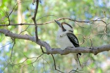 DSC_5804.jpg