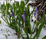 DSC_2717.jpg