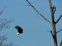 DSCN9652.jpg