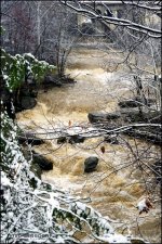 The Raging Rocky River_348.JPG