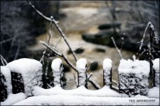 Late Snow Post 1_322.JPG